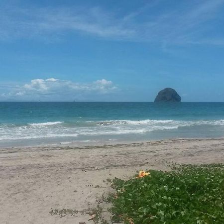 Charmant Et Spacieux Studio A 50M De La Plage เลอ ดีอามงต์ ภายนอก รูปภาพ