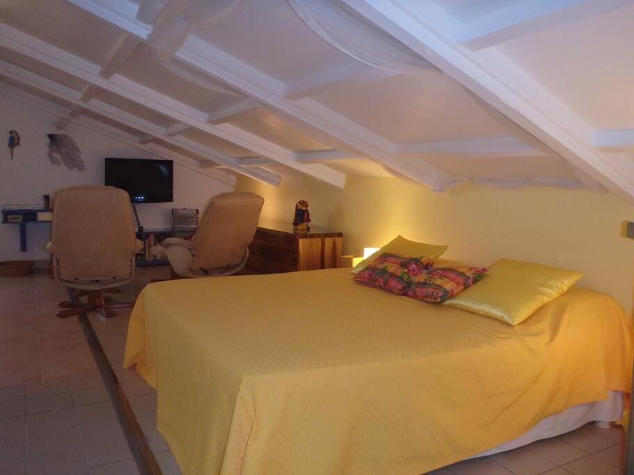 Charmant Et Spacieux Studio A 50M De La Plage เลอ ดีอามงต์ ภายนอก รูปภาพ