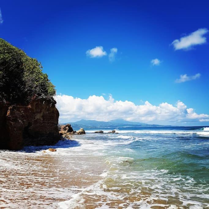 Charmant Et Spacieux Studio A 50M De La Plage เลอ ดีอามงต์ ภายนอก รูปภาพ